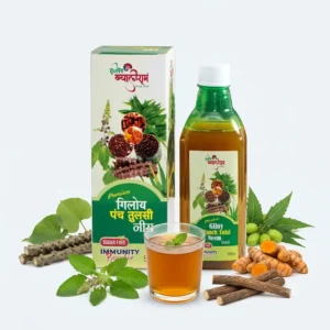 Giloy Panch Tusli Neem Ras